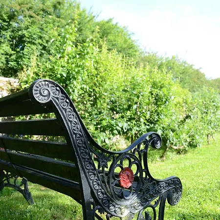 O Grenier De L'artiste Appartamento *