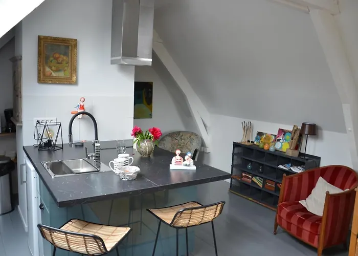 Apartament O Grenier De L'artiste *